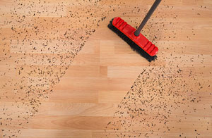 Clean-Up Service Sutton Coldfield (B72)